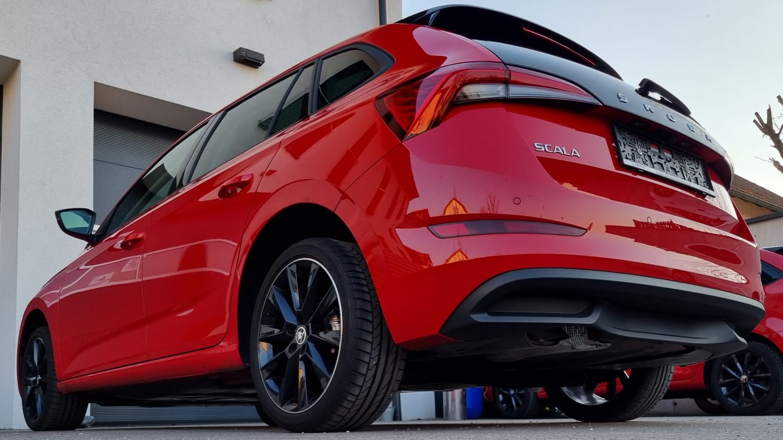 WhatsApp Image 2022-03-24 at 19.41.32 (1)